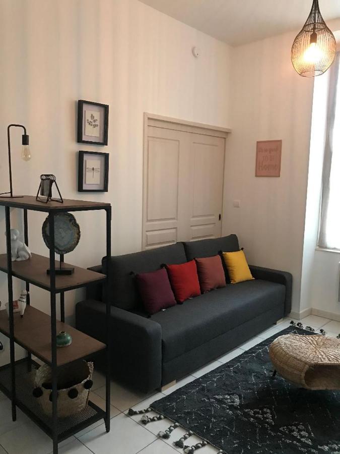 Bord De Tarn Apartment Albi Exterior photo